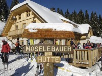 Almhütten Moselebauer